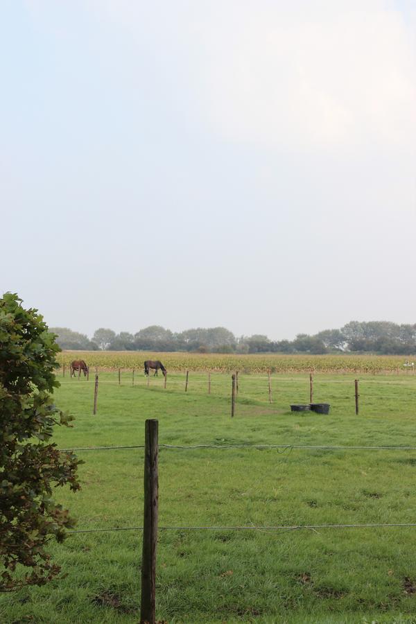 Gastenverblijven Boerderij Het Driespan Middelburg Exteriör bild