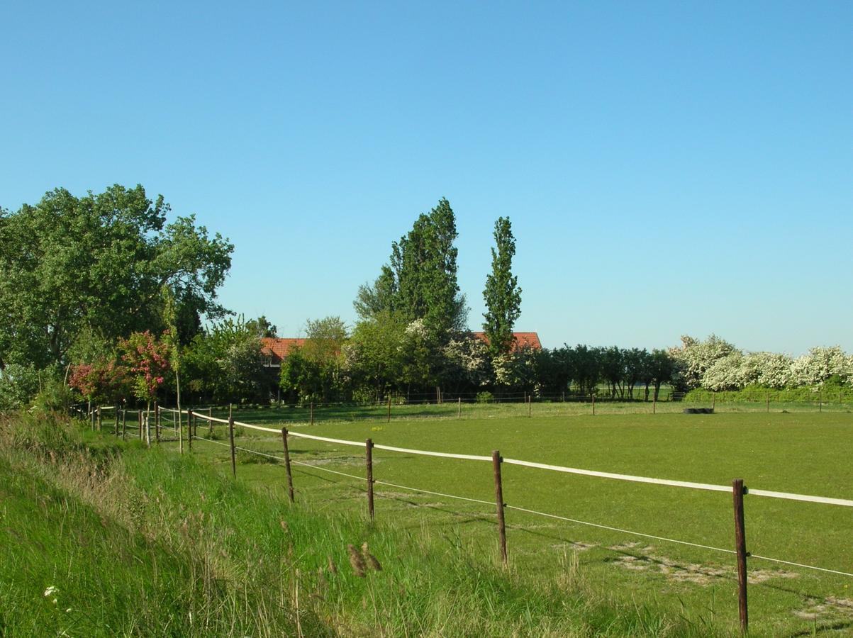 Gastenverblijven Boerderij Het Driespan Middelburg Exteriör bild