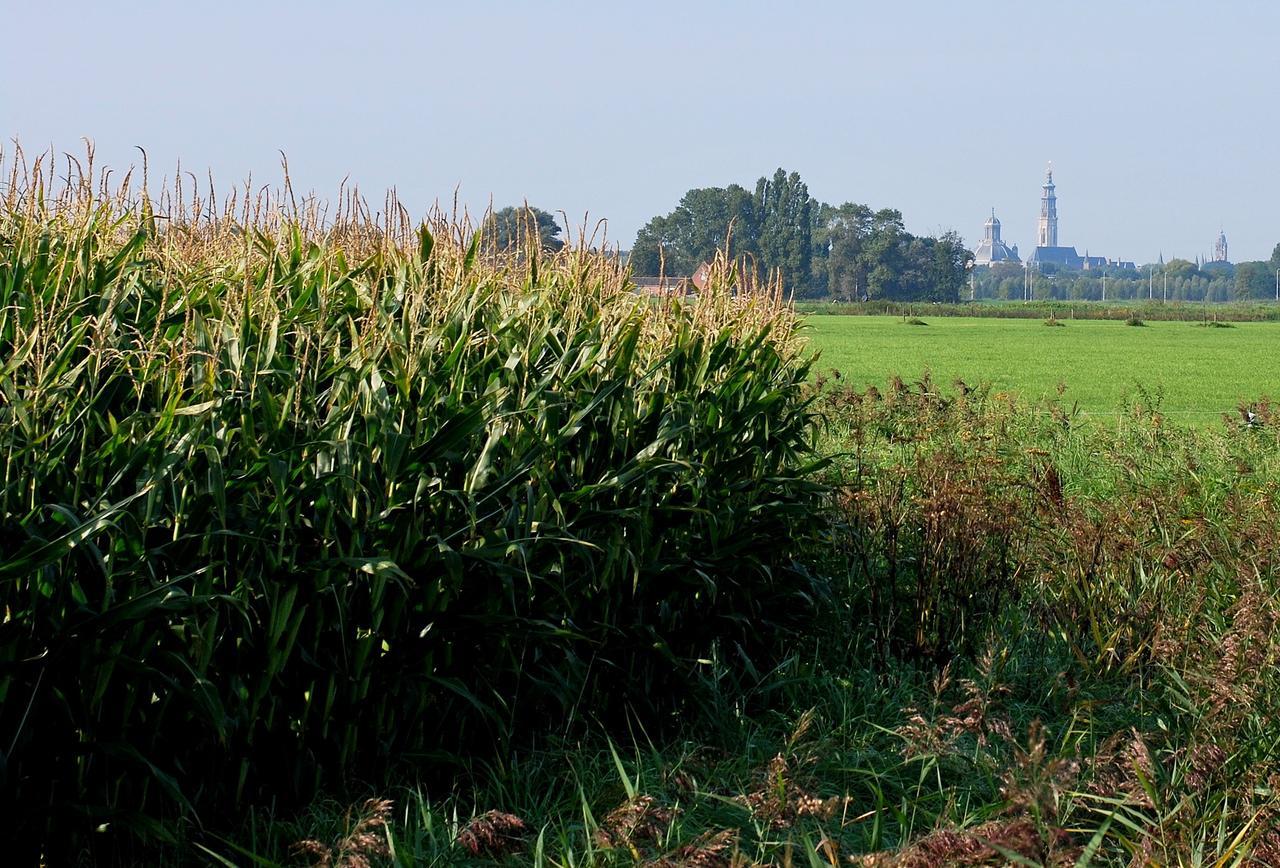 Gastenverblijven Boerderij Het Driespan Middelburg Exteriör bild